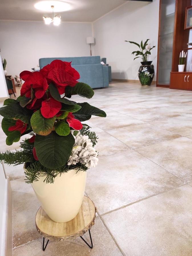 Dadilo - Casa Vacanza & Bed And Breakfast Contursi Ngoại thất bức ảnh